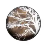 收藏 | 玩具 | 小物, 比利時原木實木家具｜Ethnicraft, 當代設計家具, Notre Monde 美國輕奢家飾 樺白樹影漂流木托盤-68