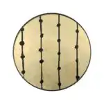 收藏 | 玩具 | 小物, 比利時原木實木家具｜Ethnicraft, 當代設計家具, Notre Monde 美國輕奢家飾 星沉夜幕波光玻璃托盤-12